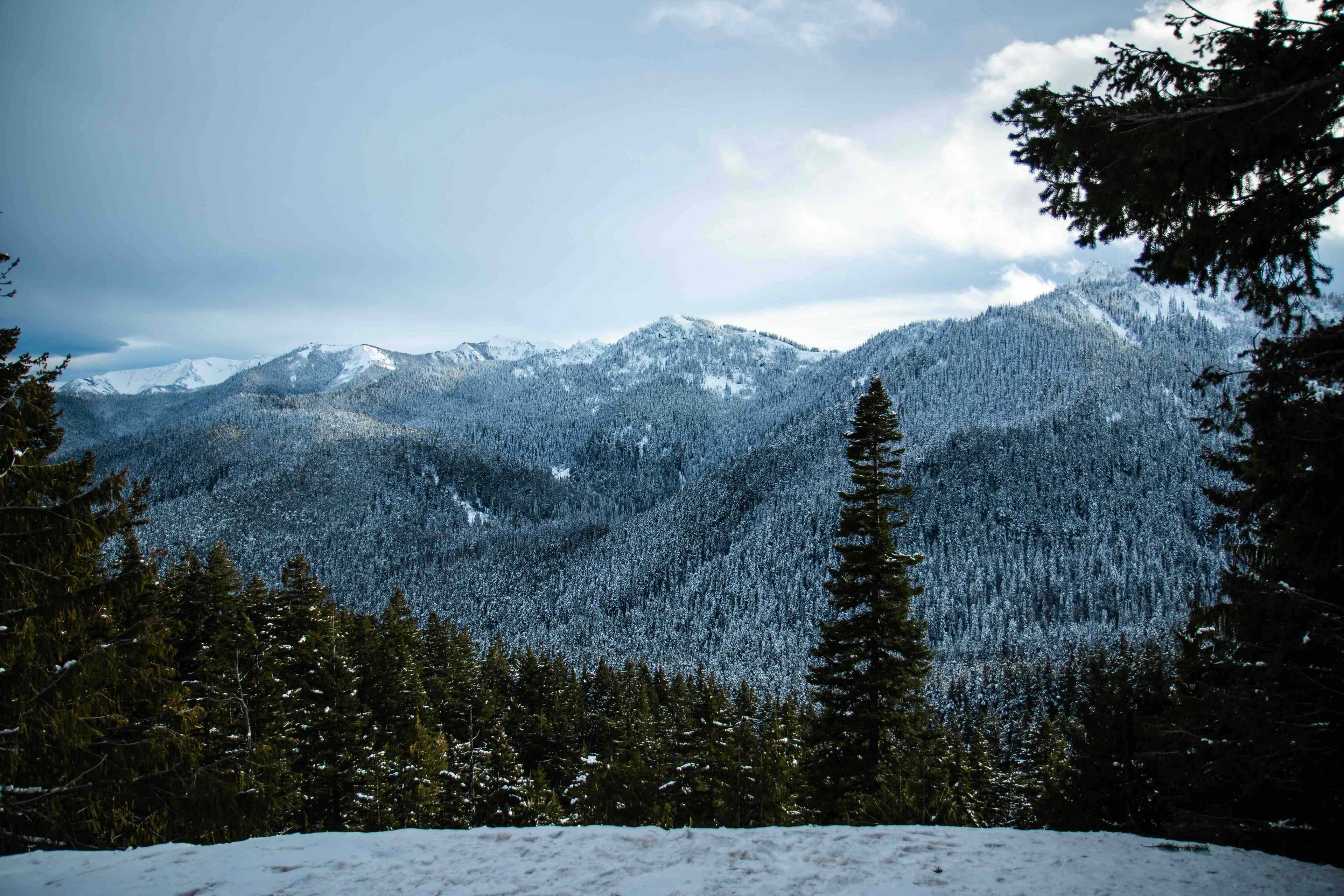 A mountain range in the Pacific Northwest at dusk