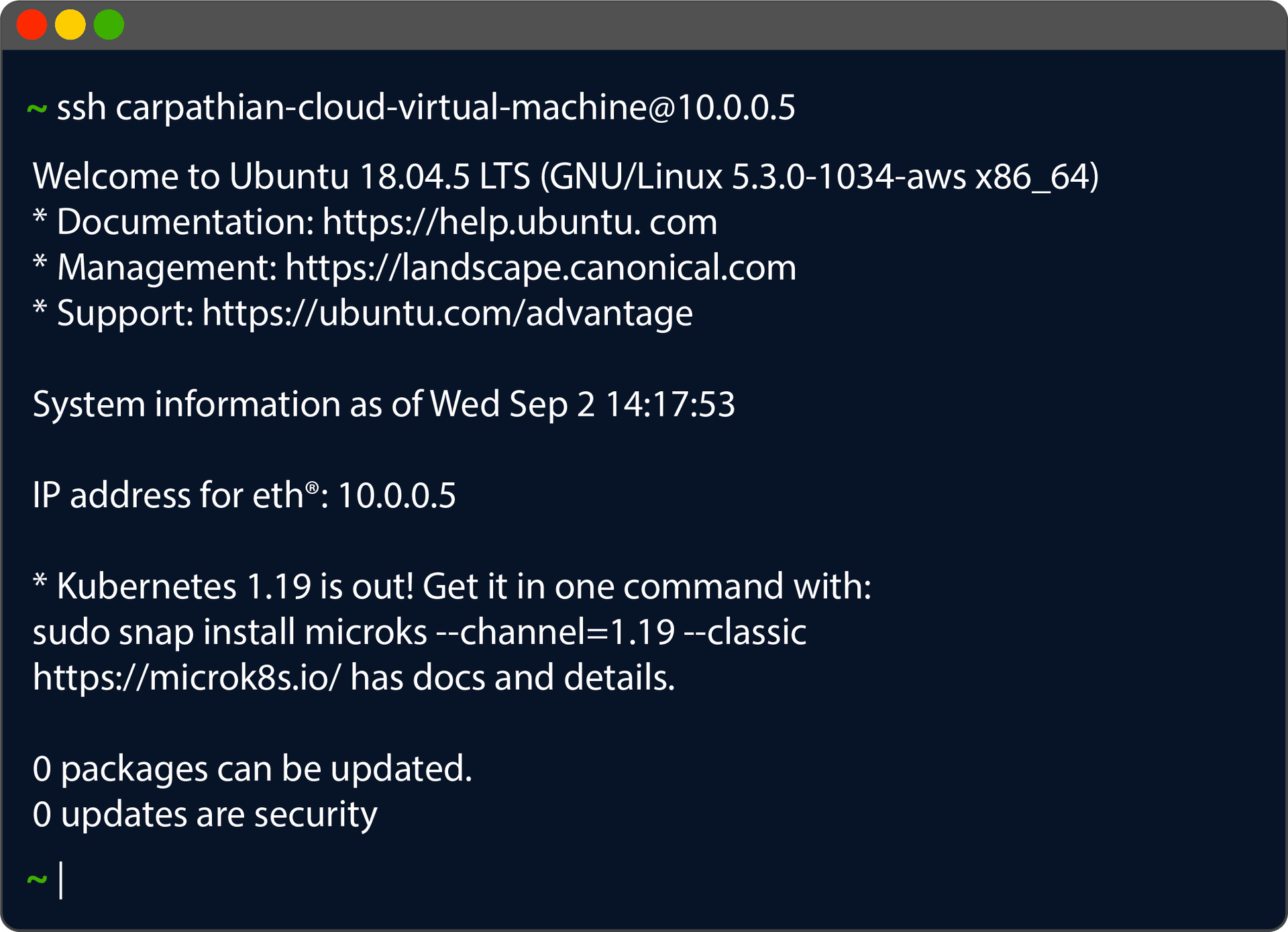 Carpathian WG VPN terminal