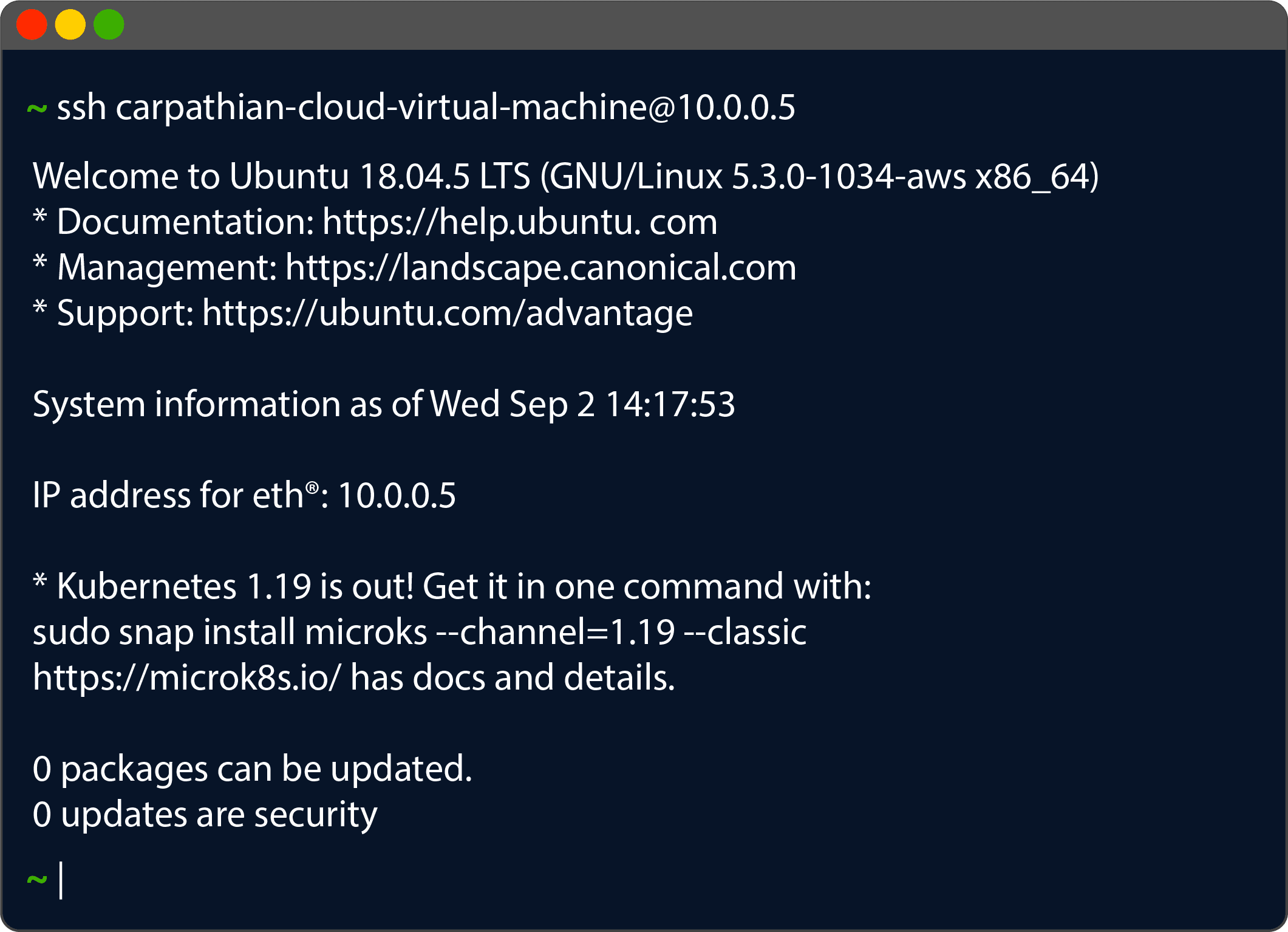 Carpathian WG VPN terminal
