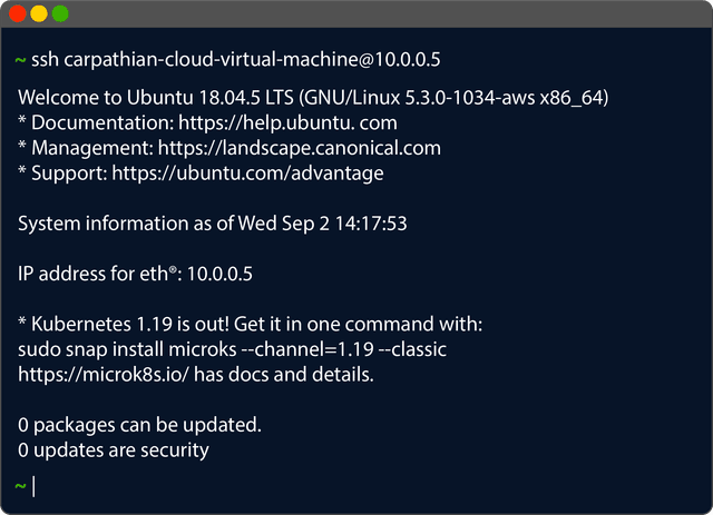 Carpathian WG VPN terminal
